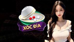 Giới thiệu sơ lược về xóc đĩa