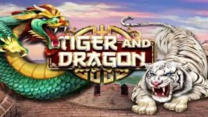 Trò cá cược Tiger Dragon hấp dẫn của nhà cái Nhatvip